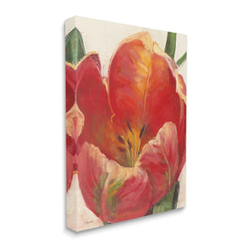 Soft Red Tulip Floral Close-Up Petal Detail 30" x 24" Gallery Wrapped Wall Art