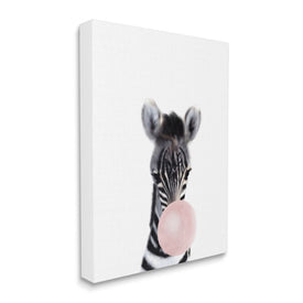 Baby Zebra with Pink Bubble Gum Safari Animal 20" x 16" Gallery Wrapped Wall Art