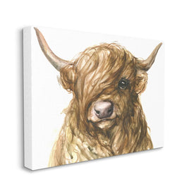 Curly Hair Highland Cow Baby Cattle Portrait 20" x 16" Gallery Wrapped Wall Art