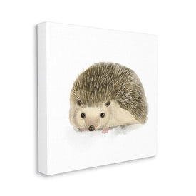 Adorable Hedgehog Illustration Nursery Woodland Animal 17" x 17" Gallery Wrapped Wall Art