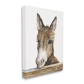 Baby Donkey Portrait Adorable Farm Animal 20" x 16" Gallery Wrapped Wall Art