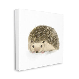 Adorable Hedgehog Illustration Nursery Woodland Animal 24" x 24" Gallery Wrapped Wall Art