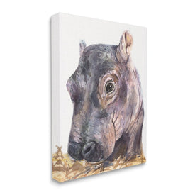 Baby Hippo Portrait Adorable Gray Safari Animal 20" x 16" Gallery Wrapped Wall Art