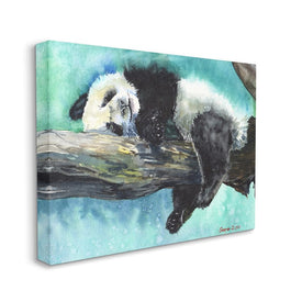 Sleepy Baby Panda in Tree Over Vibrant Blue 20" x 16" Gallery Wrapped Wall Art
