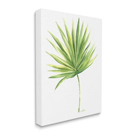 Tropical Green Palm Fan Minimal on White 20" x 16" Gallery Wrapped Wall Art