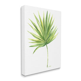 Tropical Green Palm Fan Minimal on White 30" x 24" Gallery Wrapped Wall Art