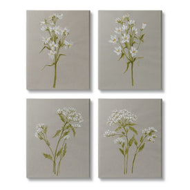 Vintage White Wild Flower Study Soft Petals 20" x 16" Gallery Wrapped Wall Art Four-Piece Set
