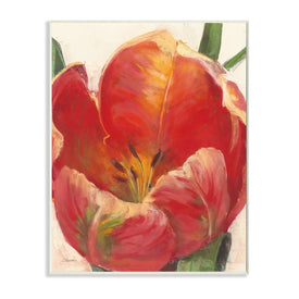 Soft Red Tulip Floral Close-Up Petal Detail 19" x 13" Wall Plaque Wall Art