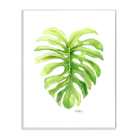 Monstera Leaf Tropical Plant Over White 15" x 10" Wall Plaque Wall Art