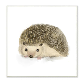 Adorable Hedgehog Illustration Nursery Woodland Animal 12" x 12" Wall Plaque Wall Art