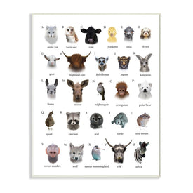 Alphabet Chart of Wild Animals Over White 19" x 13" Wall Plaque Wall Art