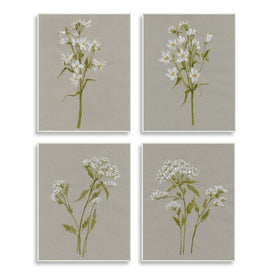 Vintage White Wild Flower Study Soft Petals 15" x 10" Wall Plaque Wall Art Four-Piece Set