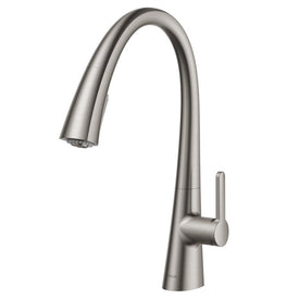 Nolen Spot Free Dual-Function Pull Down Kitchen Faucet