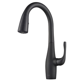 Esina Dual-Function Pull Down Kitchen Faucet