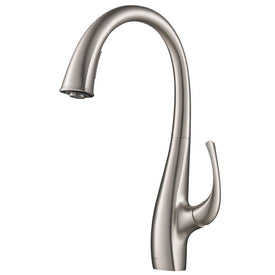Ansel Spot Free Dual-Function Pull Down Kitchen Faucet
