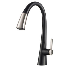 Nolen Spot Free Dual-Function Pull Down Kitchen Faucet