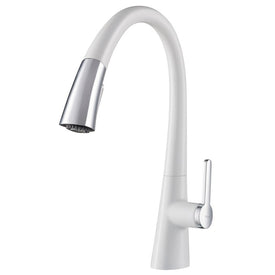 Nolen Dual-Function Pull Down Kitchen Faucet