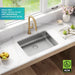 KA1AS25B Kitchen/Kitchen Sinks/Undermount Kitchen Sinks
