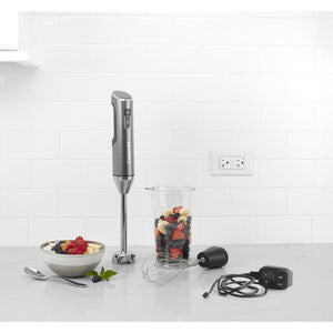 RHB-100 Kitchen/Small Appliances/Blenders